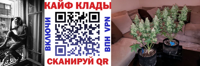 Наркошоп Заречный гидра tor  Кокаин  МЕФ  Бошки Шишки 