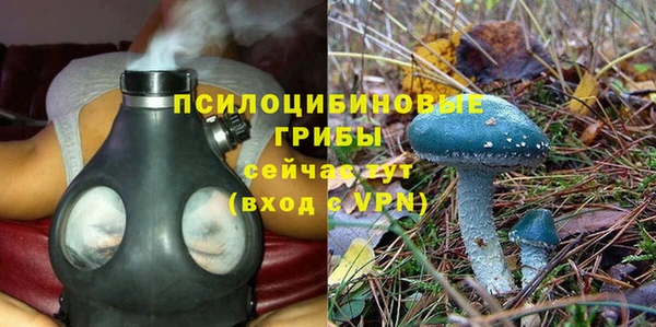 марки lsd Бородино
