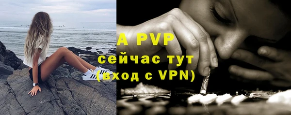 хмурый Верея