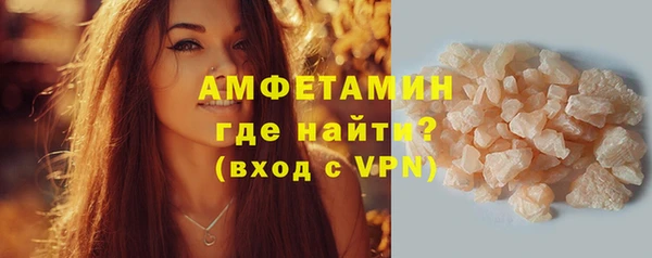 прущие грибы Дмитров