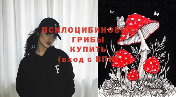 хмурый Верея