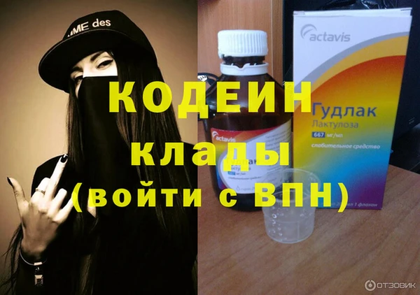 хмурый Верея