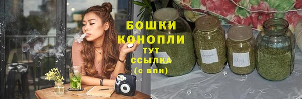 дурь Верхний Тагил